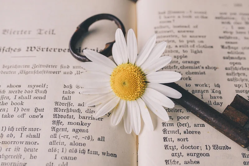 La recherche de mots-clés : le socle de votre stratégie
